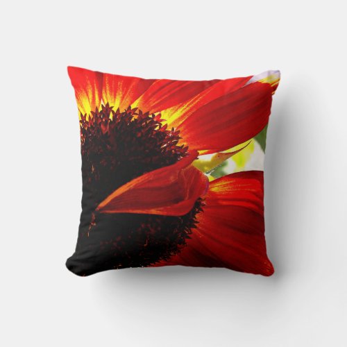 Red Orange Gerbera Daisy Photo Modern Bold Stylish Throw Pillow