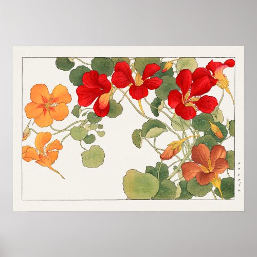 Red  Orange Nasturtium Flowers by Tanigami Konan Poster