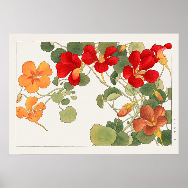 Red & Orange Nasturtium Flowers by Tanigami Konan Poster (Front)