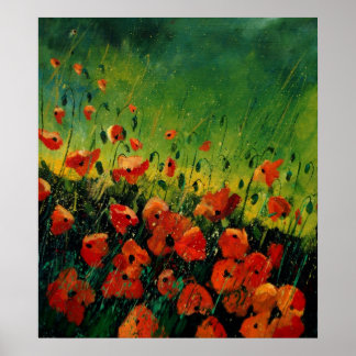 red orange poppies 67 poster