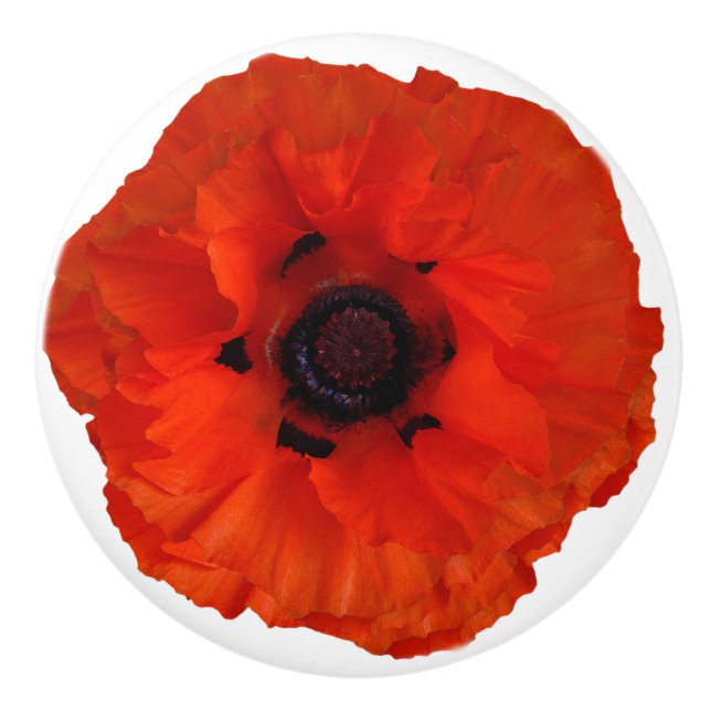 Red Orange Poppy Floral Drawer Pull Knob (Front)