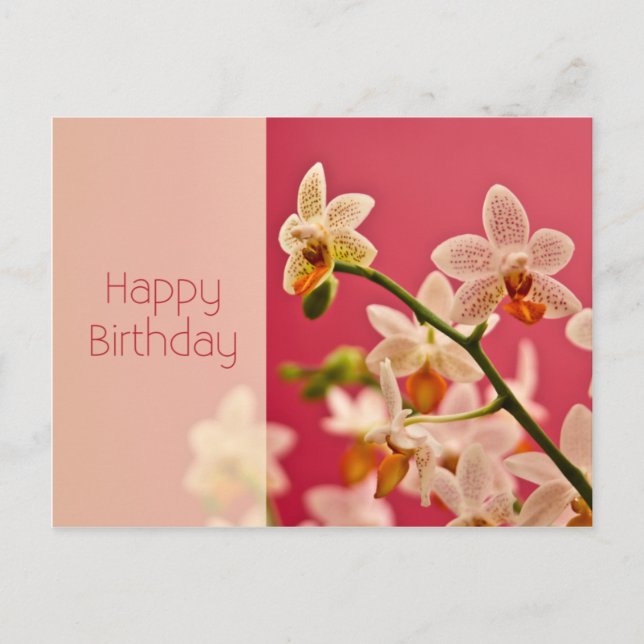 Red Orchid • Birthday Postcard (Front)