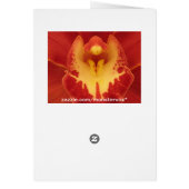 Red Orchid Cards (Back)