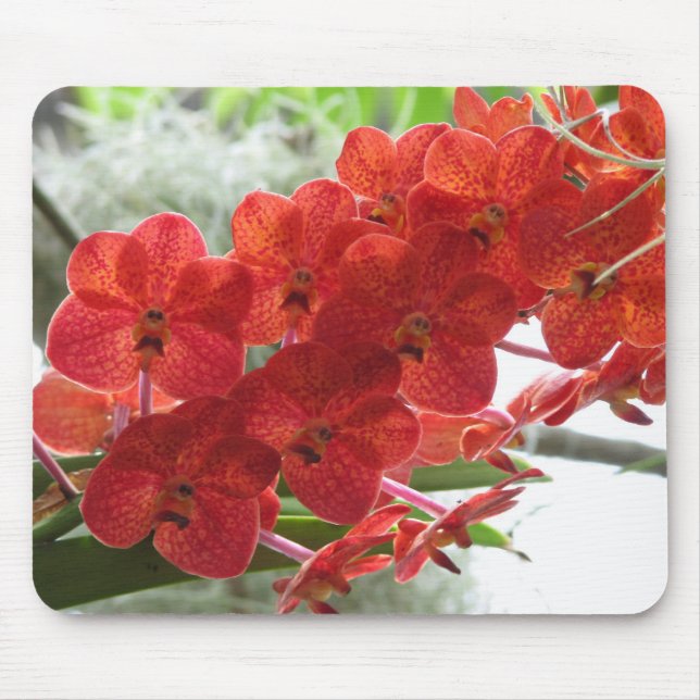 RED ORCHID MOUSE PAD (Front)