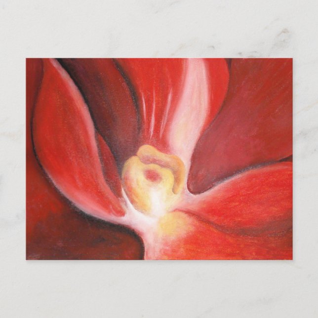 Red Orchid Postcard (Front)