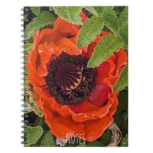 Red Oriental Poppy Floral Notebook