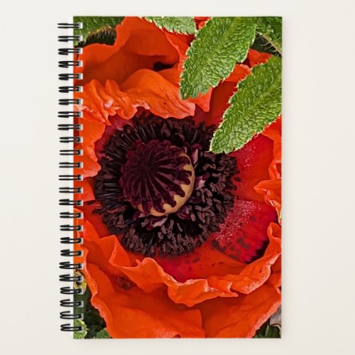 Red Oriental Poppy Floral Notebook