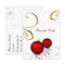 red ornament winter wedding save the date