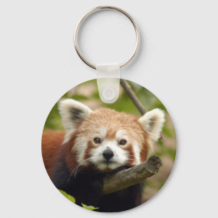 red-panda-004 keychain