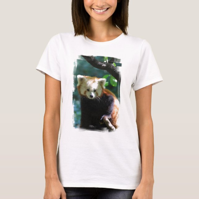 red-panda-11.jpg T-Shirt (Front)