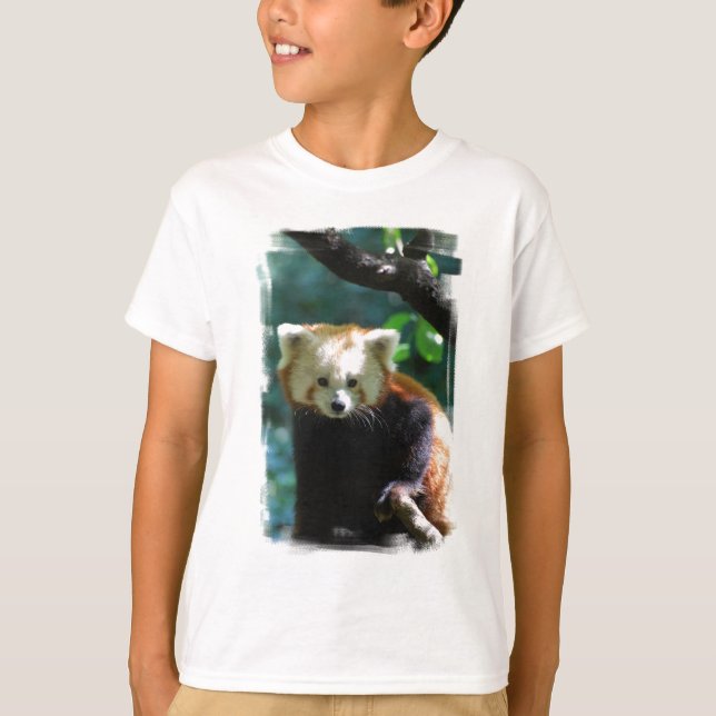red-panda-11.jpg T-Shirt (Front)