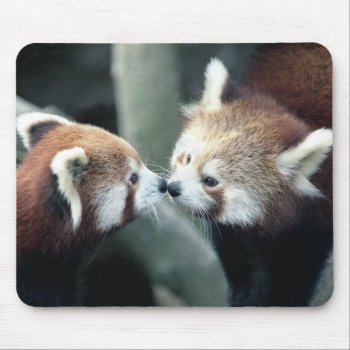 Red Panda #1-mousepad Mouse Pad by rgkphoto at Zazzle