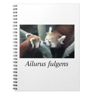 Red Panda#1 Notebook