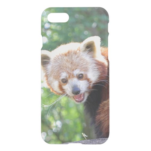 Red_Panda_2015_0306 iPhone SE87 Case