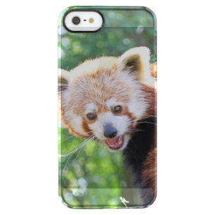 Red_Panda_2015_0306 Clear iPhone SE/5/5s Case
