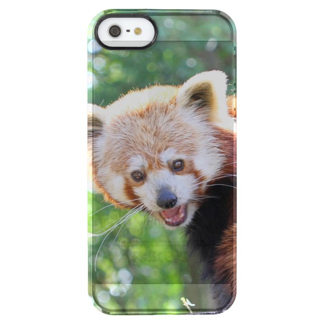 Red_Panda_2015_0306 Uncommon iPhone Case (Back)