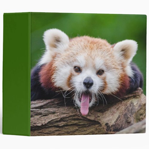 Red Panda 3 Ring Binder