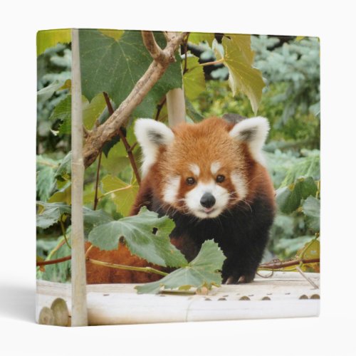 Red Panda 3 Ring Binder