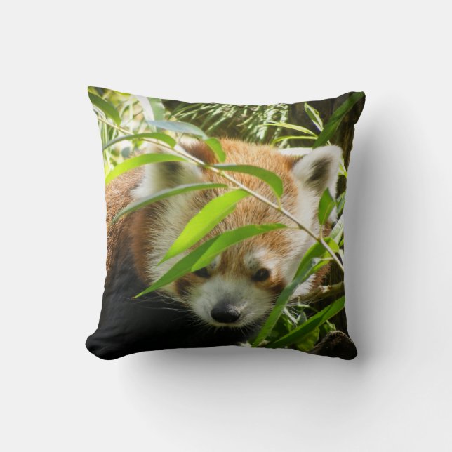 Red Panda 415P2 Throw Pillow (Front)