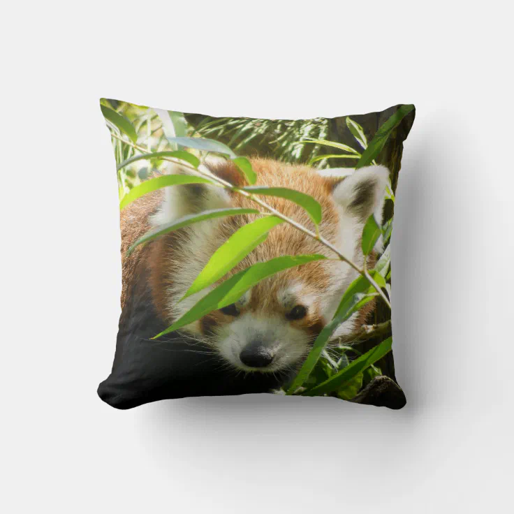 Red Panda 415P2 Throw Pillow | Zazzle