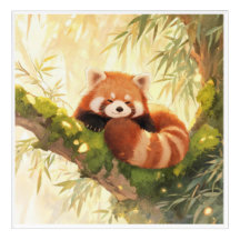 Red Panda
