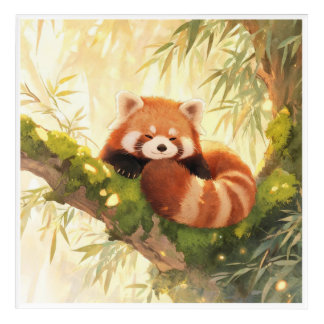 Red Panda Acrylic Print