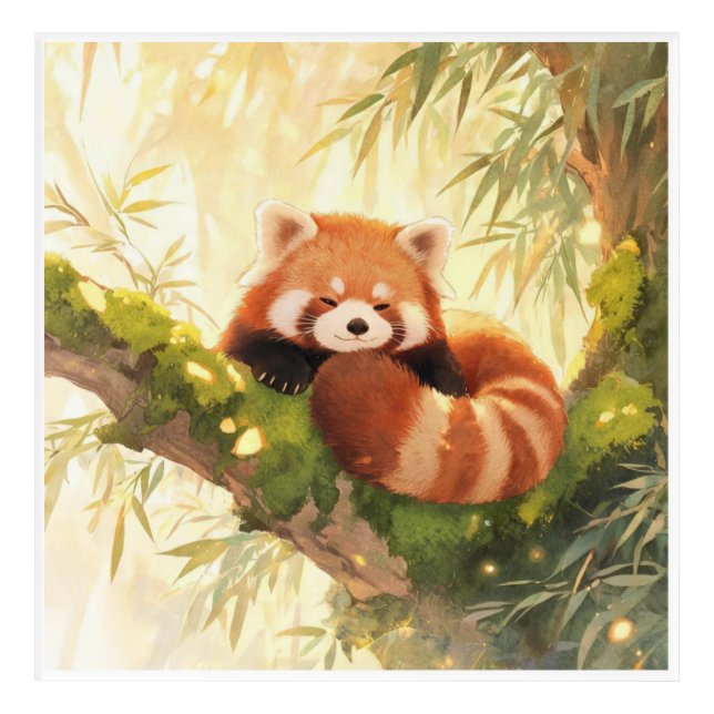 Red Panda Acrylic Print (Front)