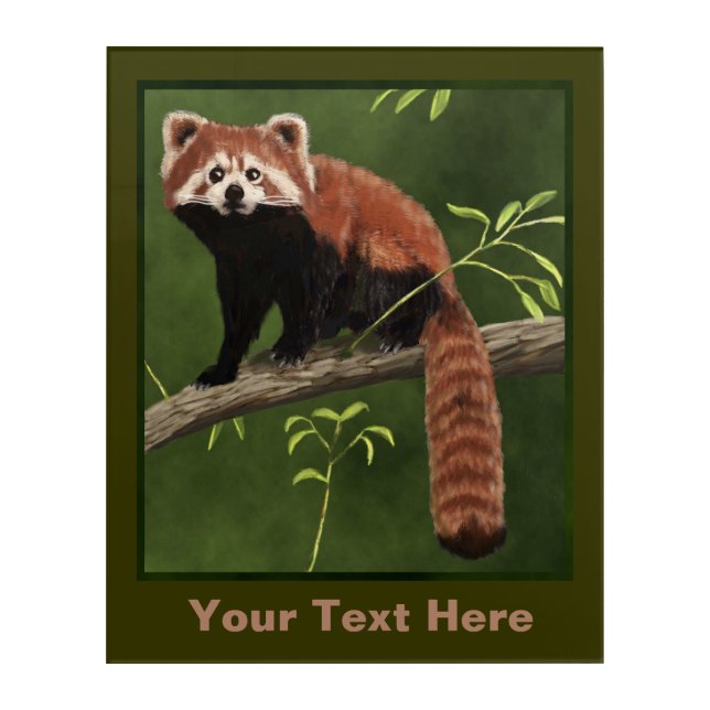 Red Panda Acrylic Print (Front)