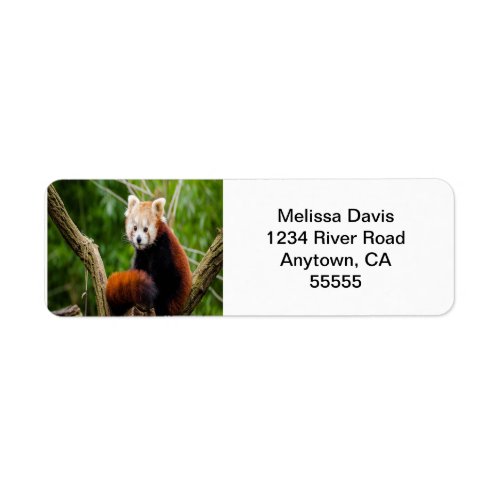 Red Panda Address Labels