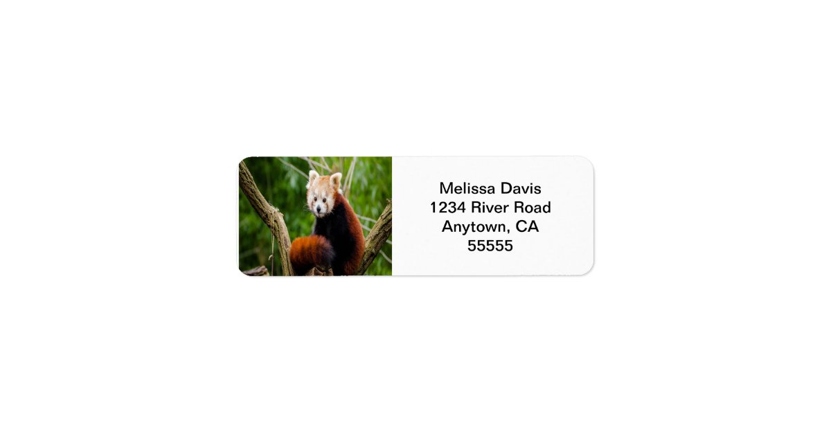 Red Panda Address Labels | Zazzle