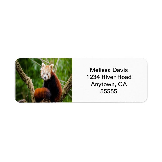 Red Panda Address Labels (Front)