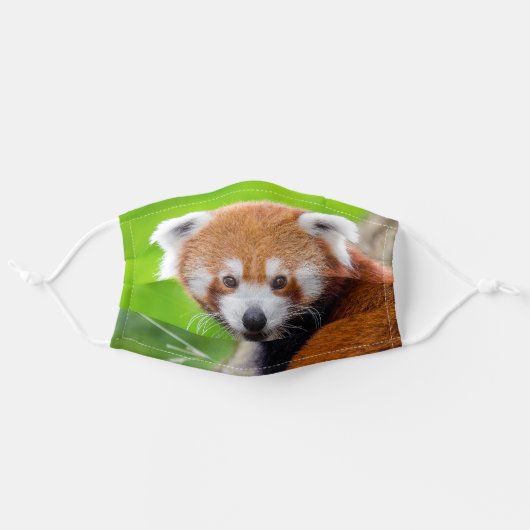 Red Panda Adult Cloth Face Mask (Front, Unfolded)