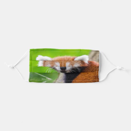 Red Panda Adult Cloth Face Mask (Front, Folded)