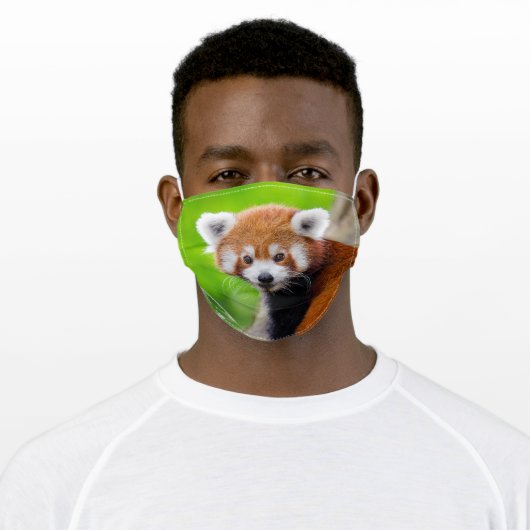 Red Panda Adult Cloth Face Mask (Worn)