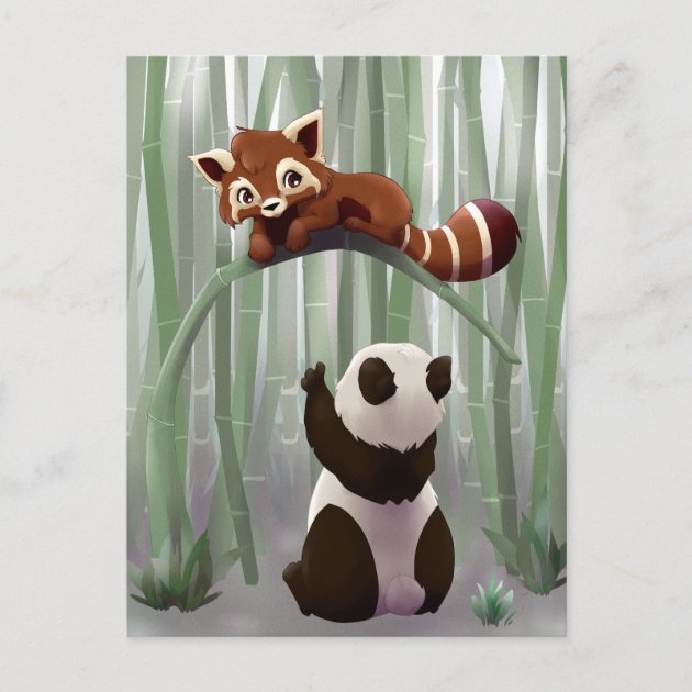 Zoo  Wildlife PANDA    BÄR    Postkarte  Panda Bear    Postcard   # 4 