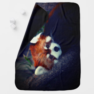 Red Panda Baby Blanket