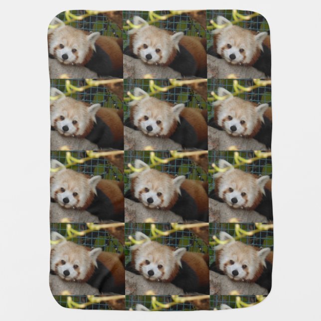 Red Panda Baby Blanket (Front)