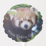 Red Panda Balloon