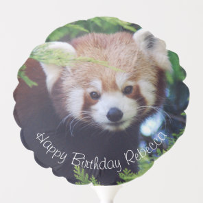 Red Panda Balloon