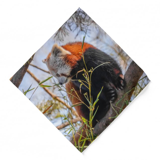 Red panda bandana (Front)