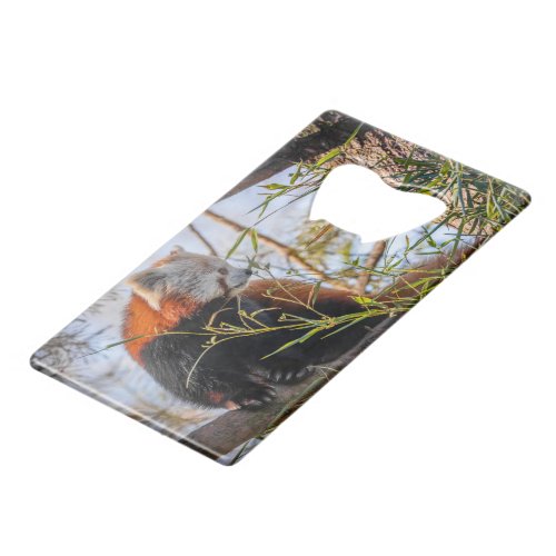 Red panda bar key credit card bottle opener