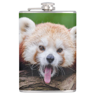 Red Panda Bear Flask