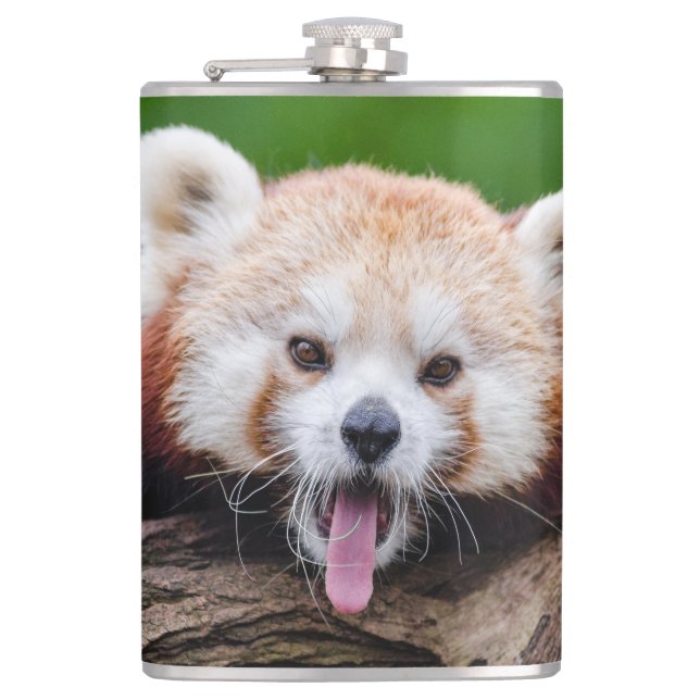 Red Panda Bear Flask (Front)