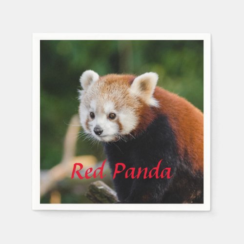 Red Panda Bear Napkins