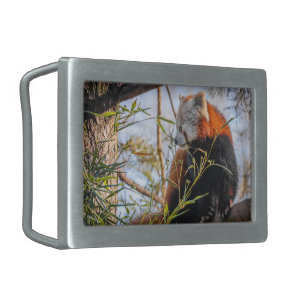 Red panda belt buckle