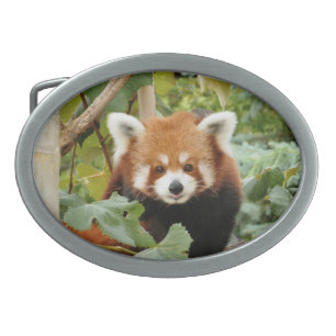 Red Panda Belt Buckle