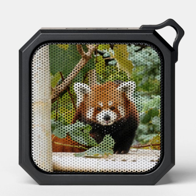 Red Panda Bluetooth Speaker (Front)