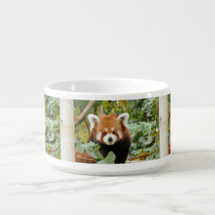 Red Panda Bowl