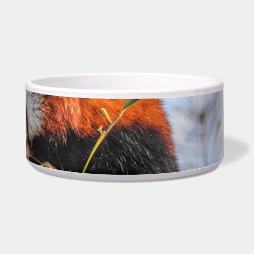 Red panda bowl