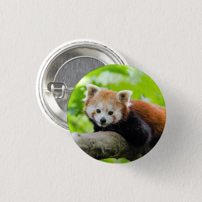 Red Panda Button (Front & Back)